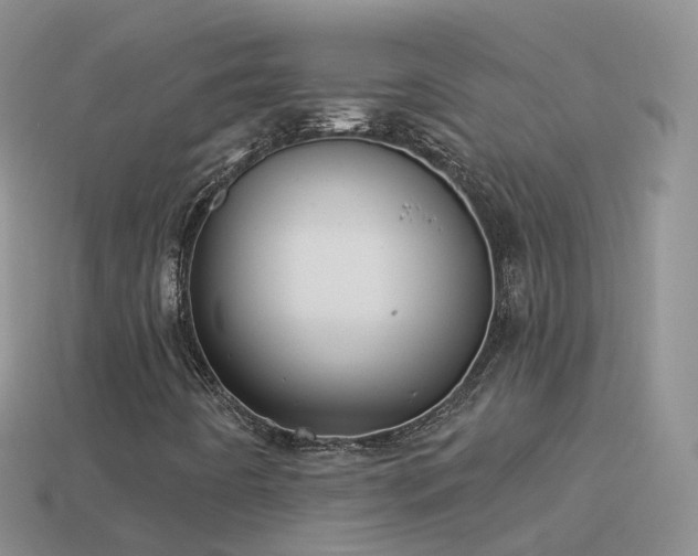 X0000114161442200910151556