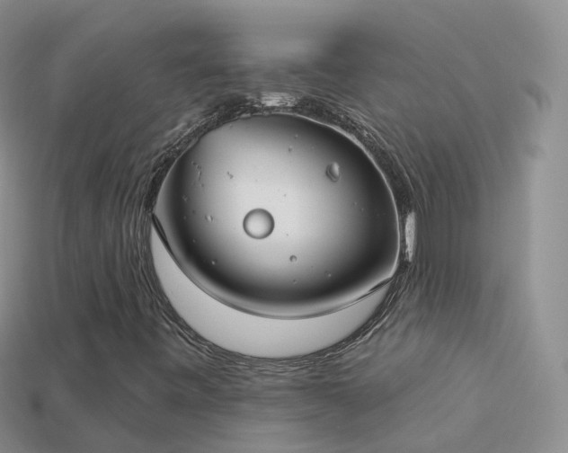 X0000114161443200910151556