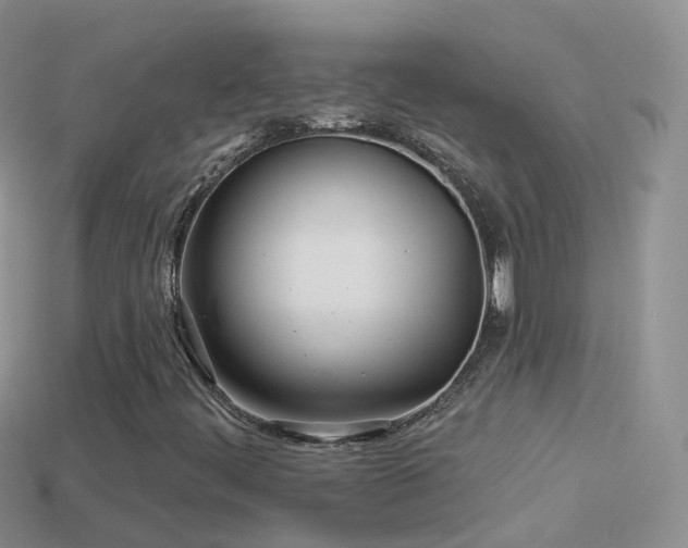 X0000114161444200910151556