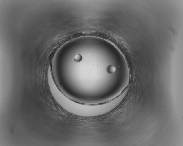 X0000114161445200910151556