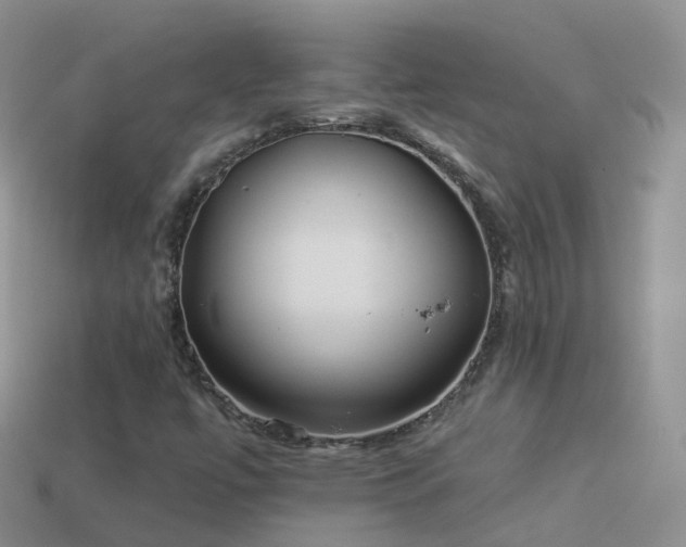 X0000114161447200910151556