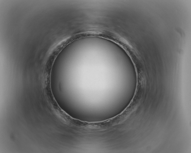 X0000114161448200910151556