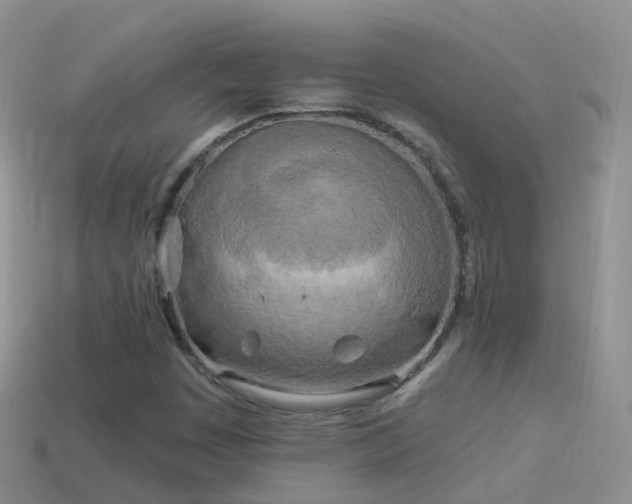 X0000114161449200910151556