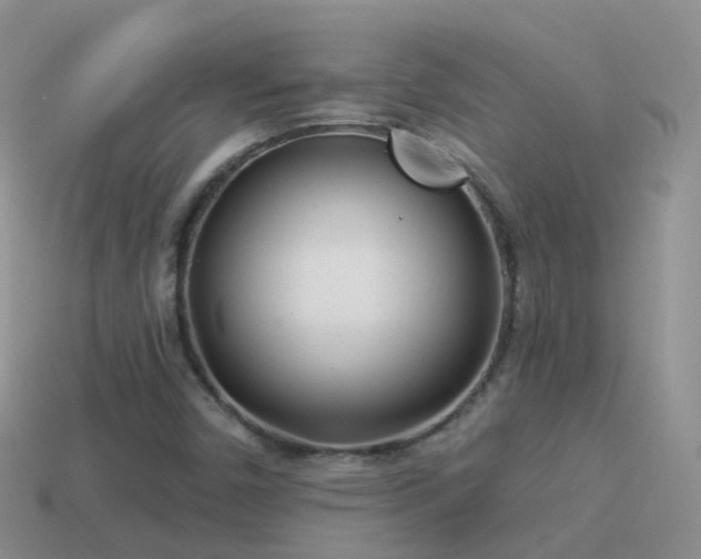 X0000114161450200910151556