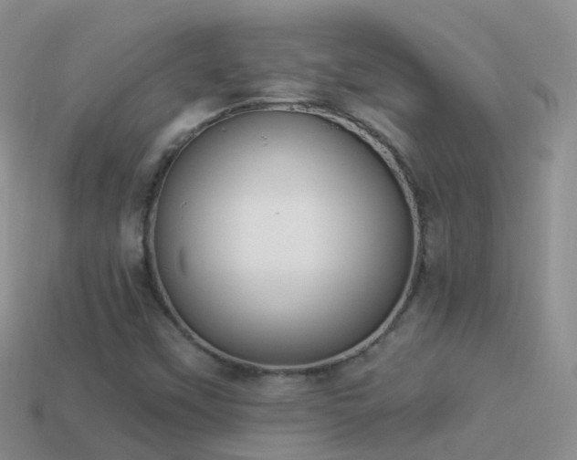 X0000114161451200910151556