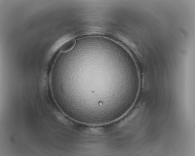 X0000114161453200910151555