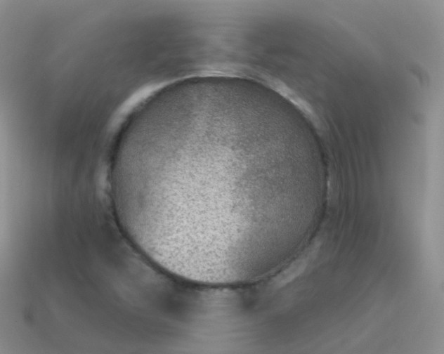 X0000114161454200910151555