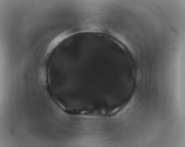 X0000114161455200910151555