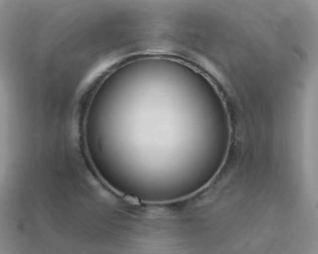 X0000114161456200910151555