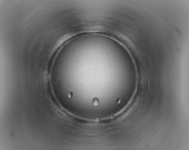 X0000114161457200910151555