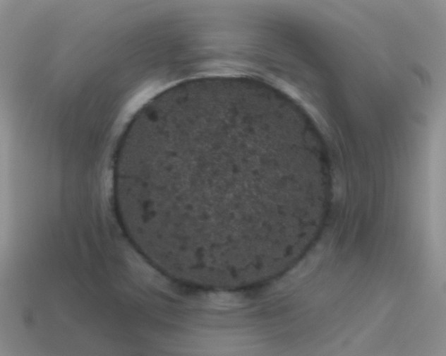 X0000114161459200910151555