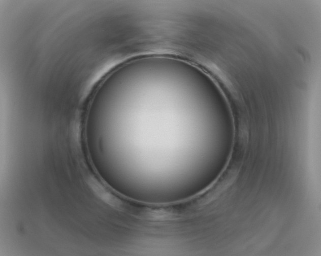 X0000114161460200910151555