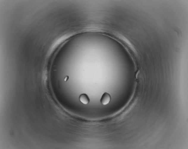 X0000114161461200910151555