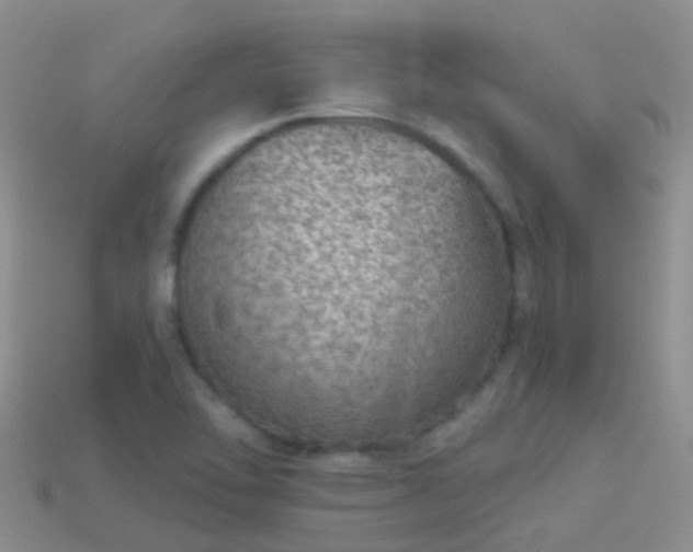 X0000114161462200910151555