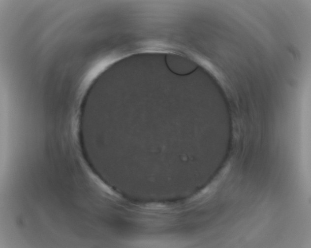 X0000114161463200910151555