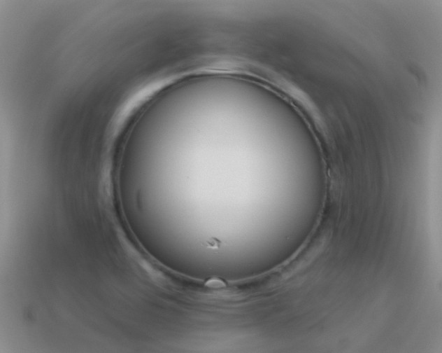 X0000114161464200910151555