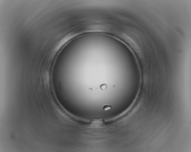 X0000114161465200910151555