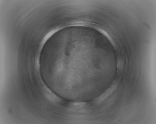 X0000114161466200910151555