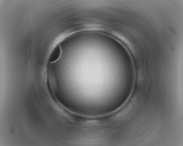 X0000114161467200910151555