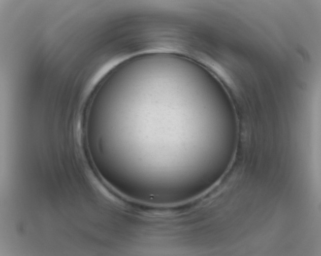 X0000114161468200910151555