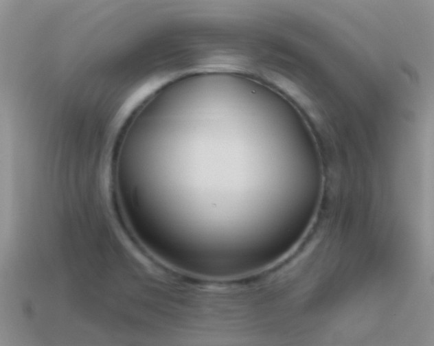 X0000114161469200910151555