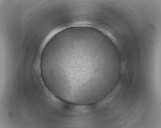 X0000114161470200910151555