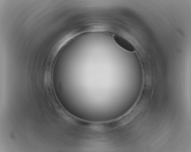 X0000114161473200910151555