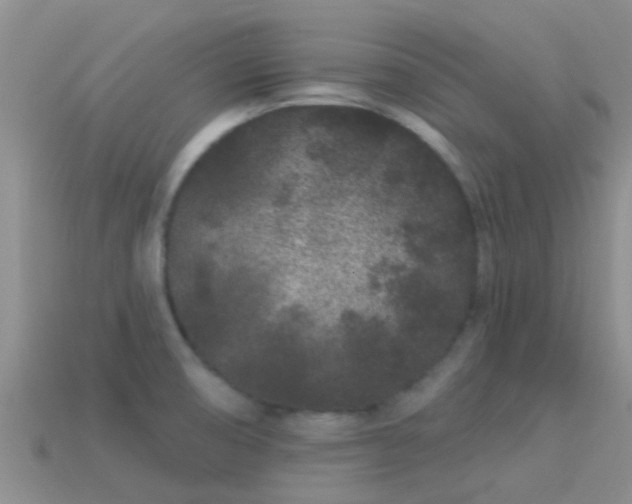 X0000114161474200910151555