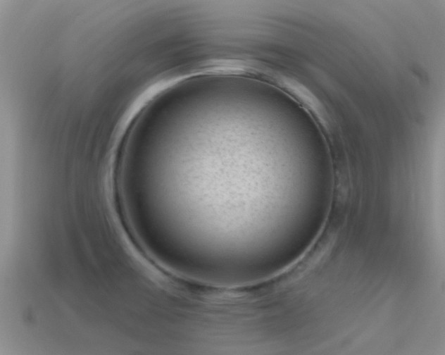 X0000114161475200910151555