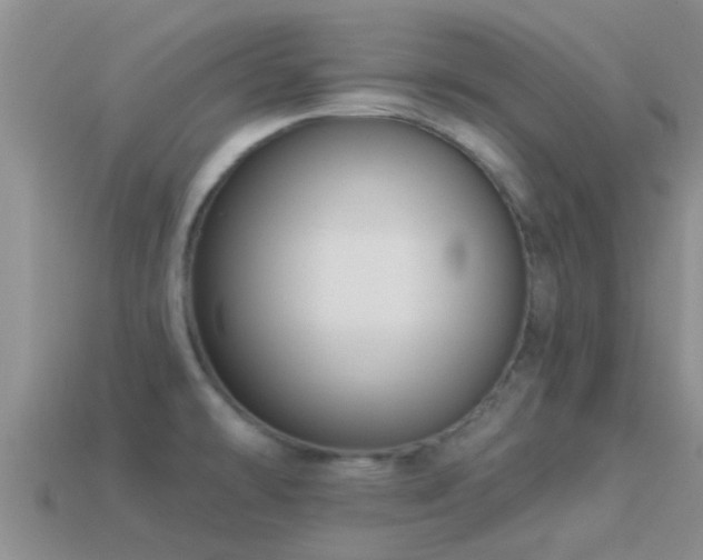 X0000114161478200910151555