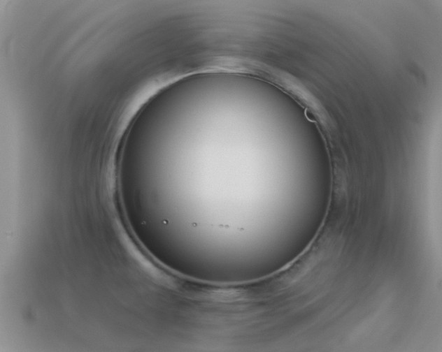 X0000114161479200910151555