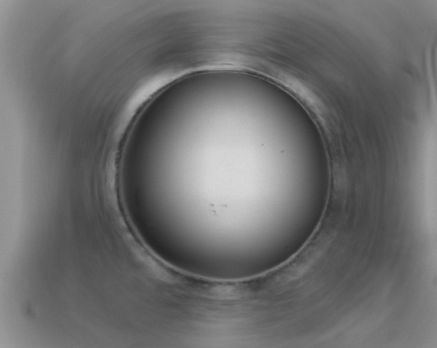 X0000114161480200910151555