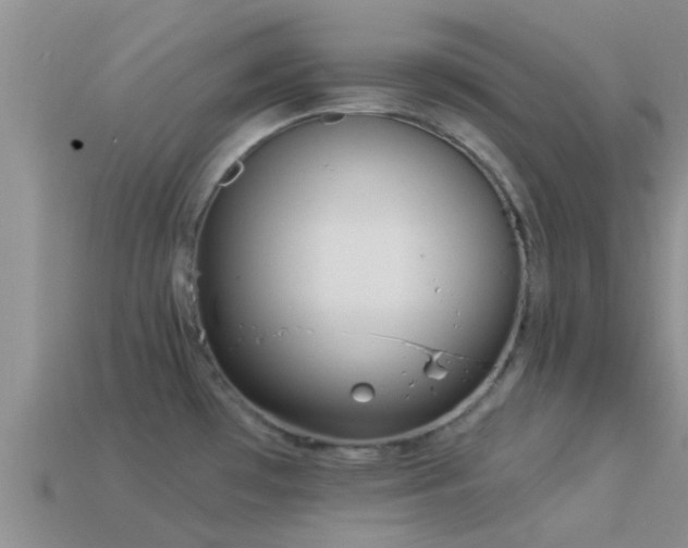 X0000114161481200910151555