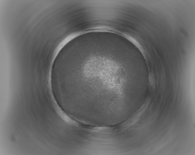 X0000114161482200910151555