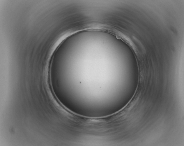 X0000114161483200910151555