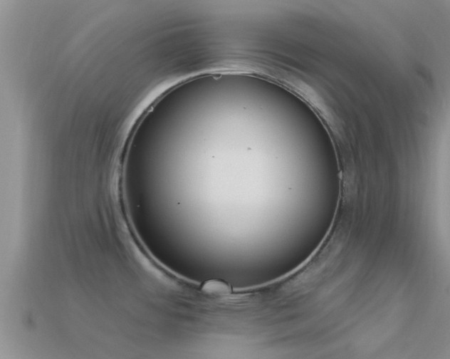 X0000114161484200910151555