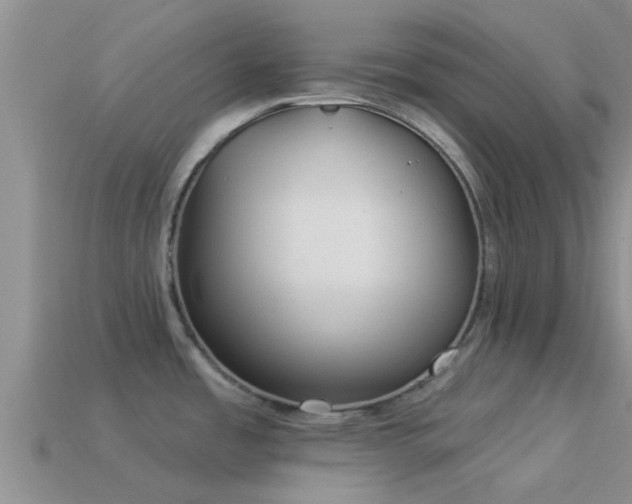 X0000114161485200910151555