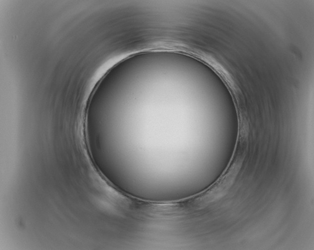 X0000114161486200910151555