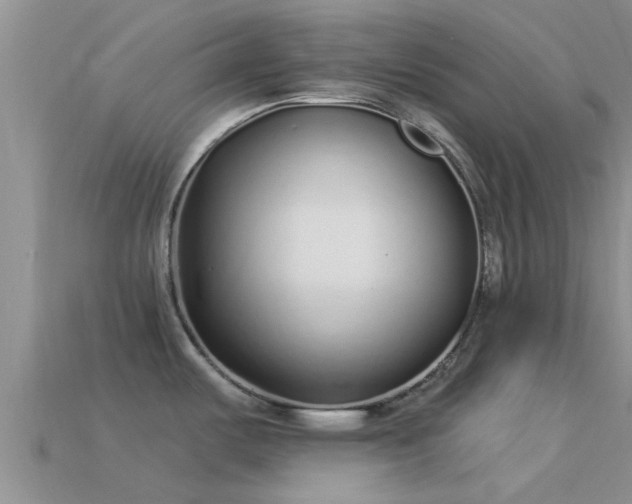 X0000114161487200910151555