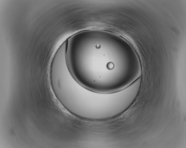 X0000114161488200910151555