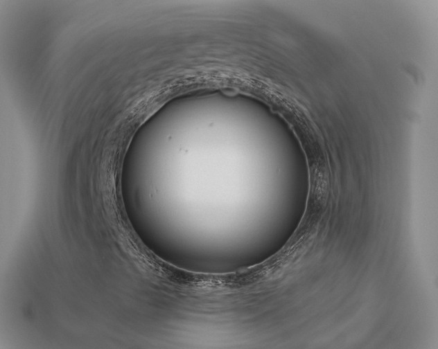 X0000114161489200910151554