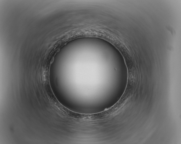 X0000114161490200910151554