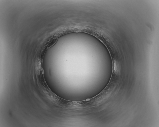 X0000114161492200910151554