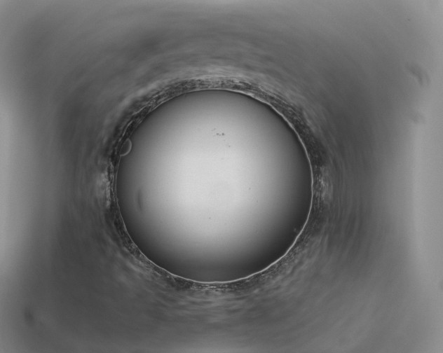 X0000114161493200910151554