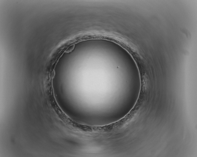 X0000114161494200910151555