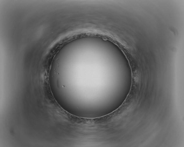 X0000114161495200910151555