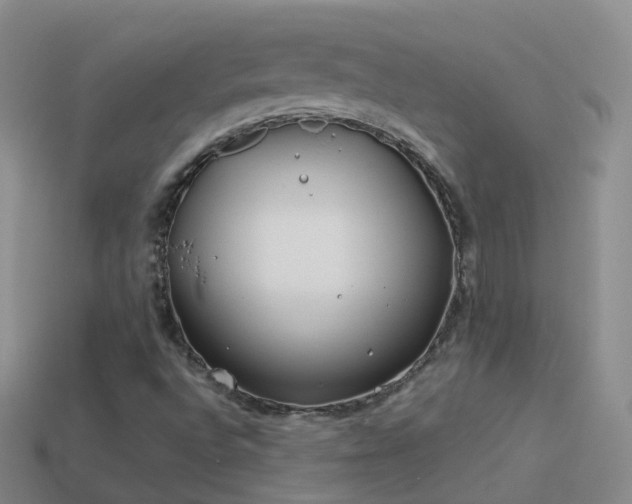 X0000114161496200910151555