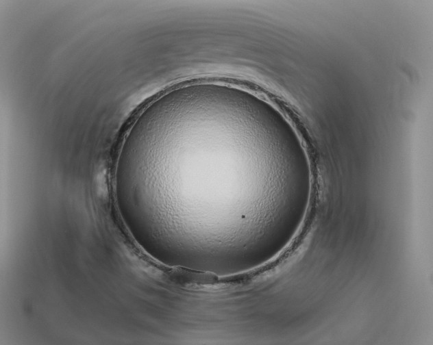 X0000114161497200910151555