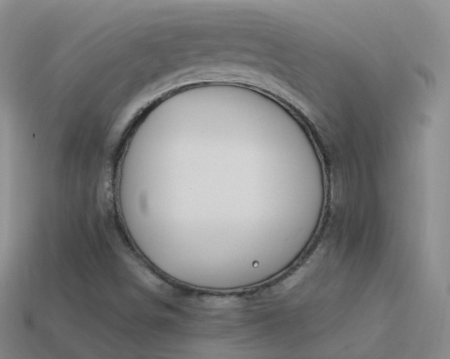 X0000114161498200910151555