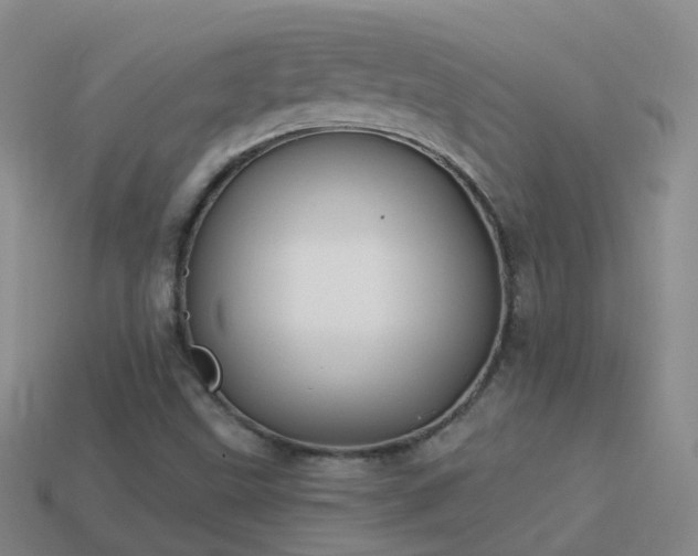 X0000114161499200910151555